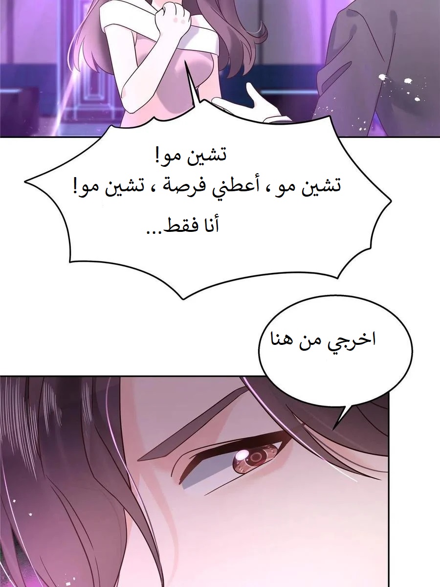 الصفحة 24