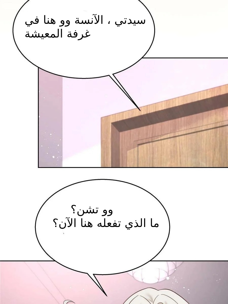 الصفحة 29