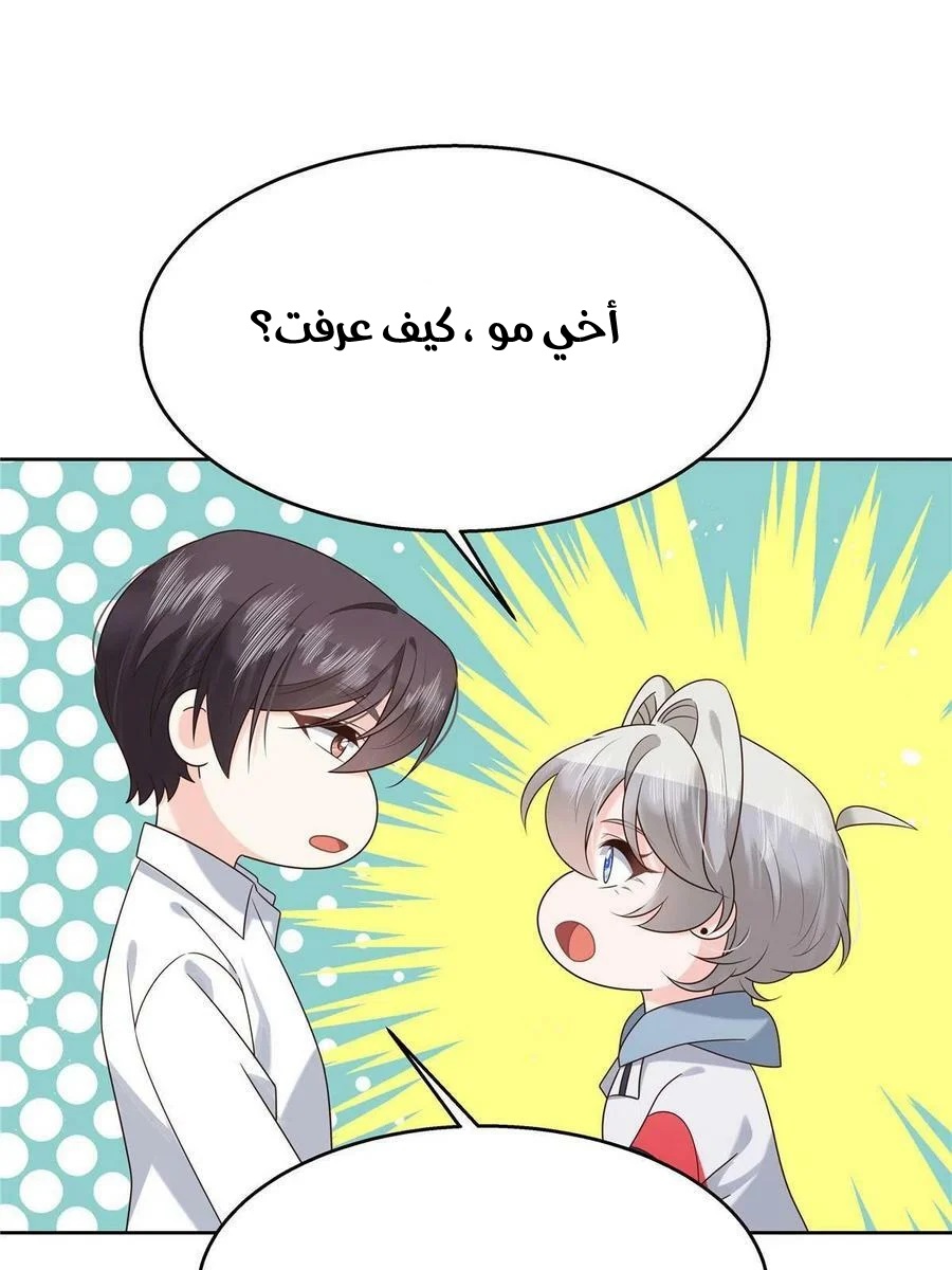 الصفحة 17
