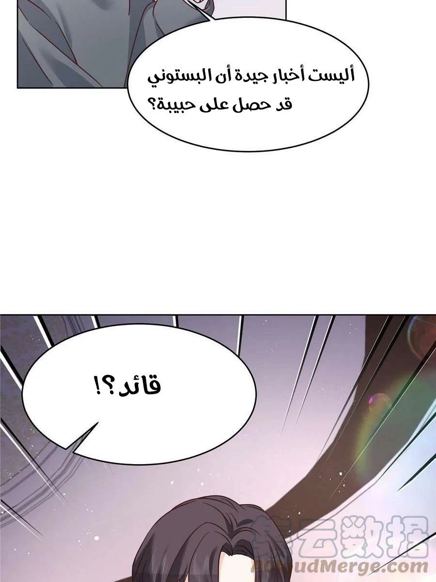 الصفحة 25