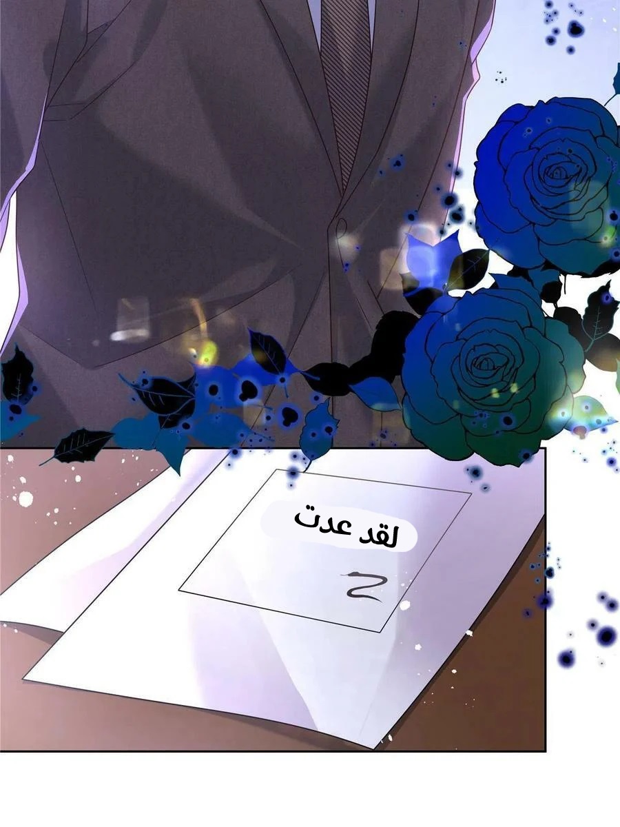 الصفحة 38
