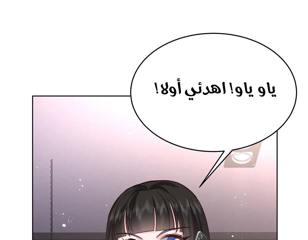 الصفحة 20