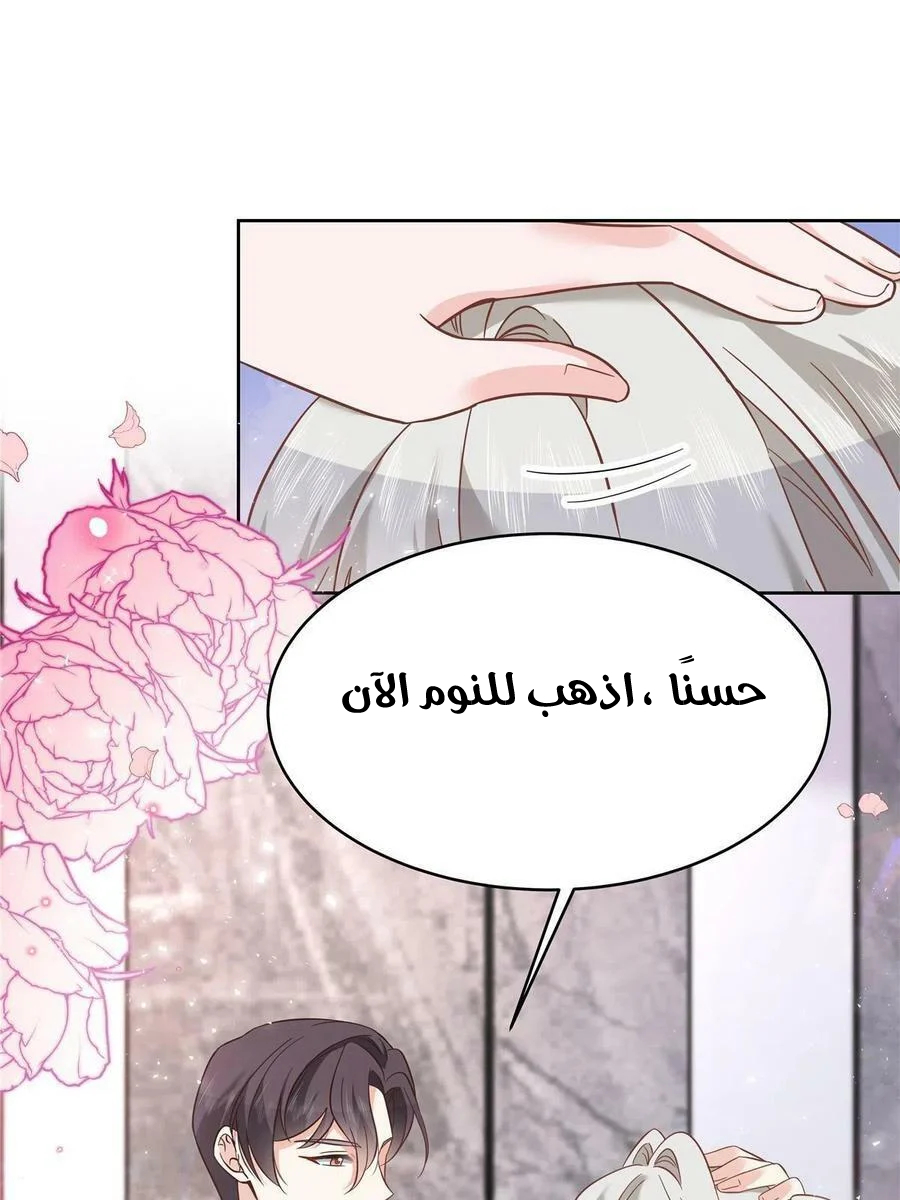 الصفحة 24