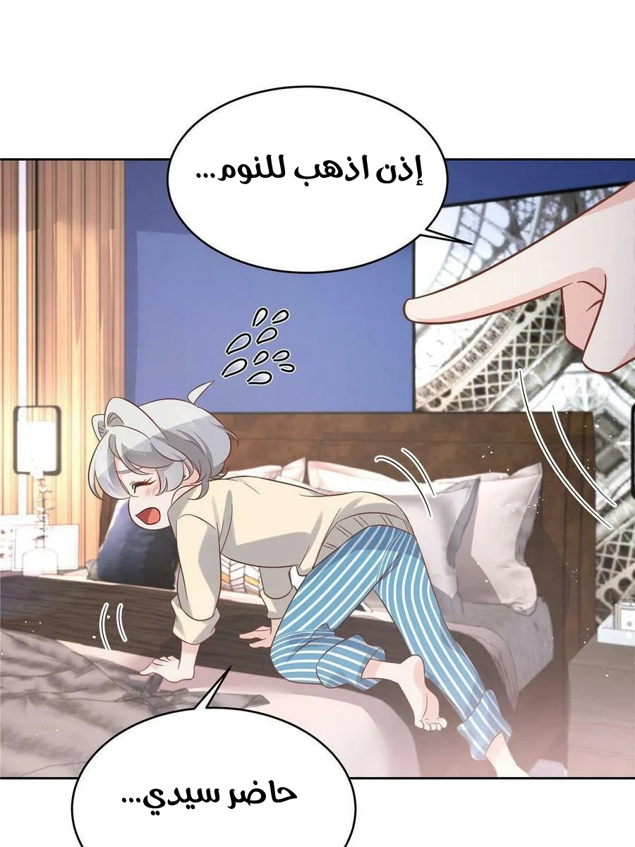 الصفحة 31