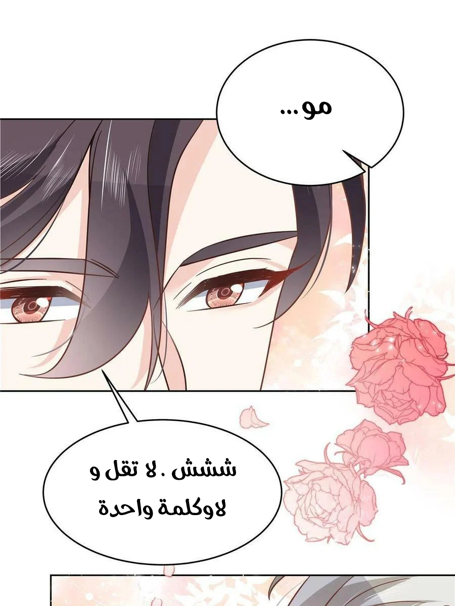 الصفحة 42