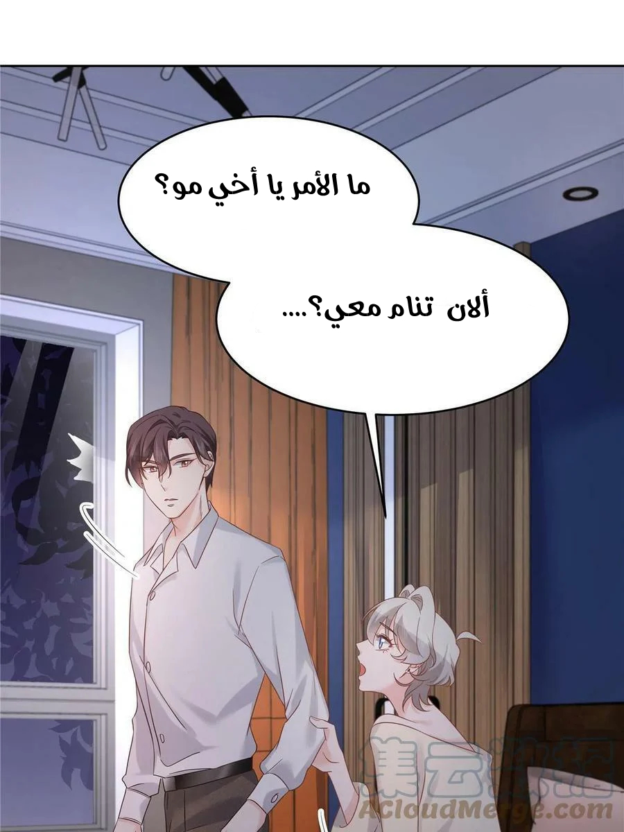الصفحة 48
