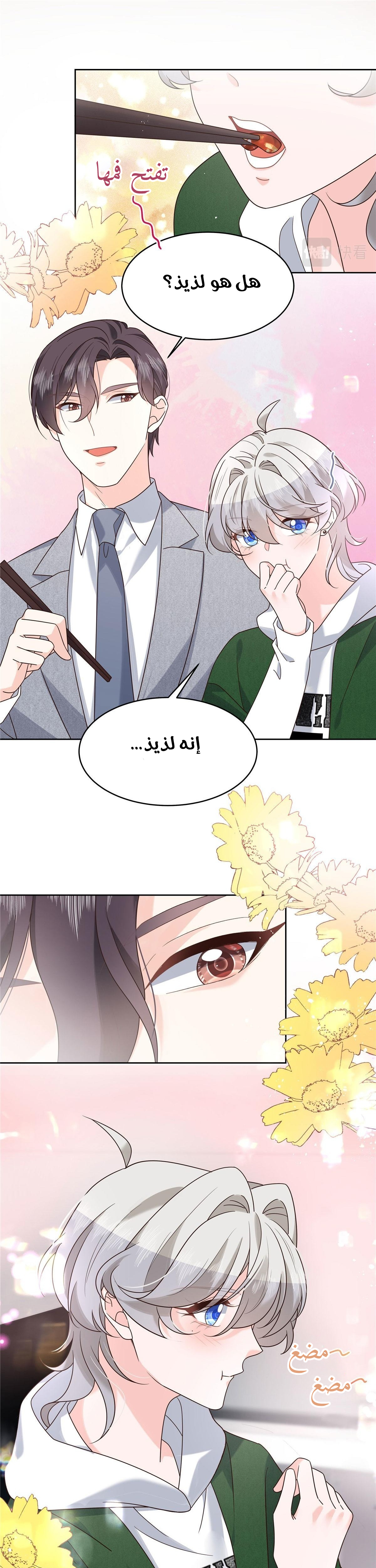 الصفحة 15