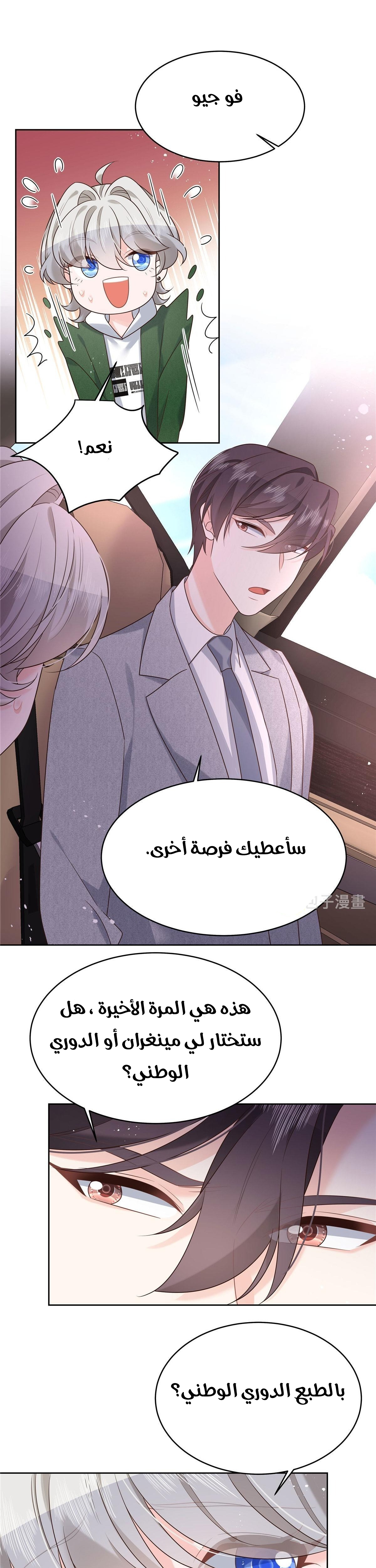 الصفحة 13
