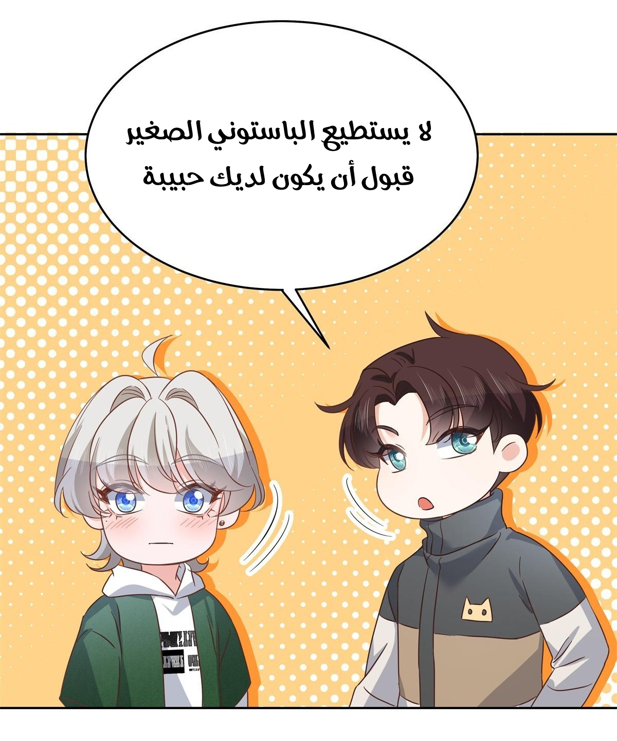 الصفحة 15