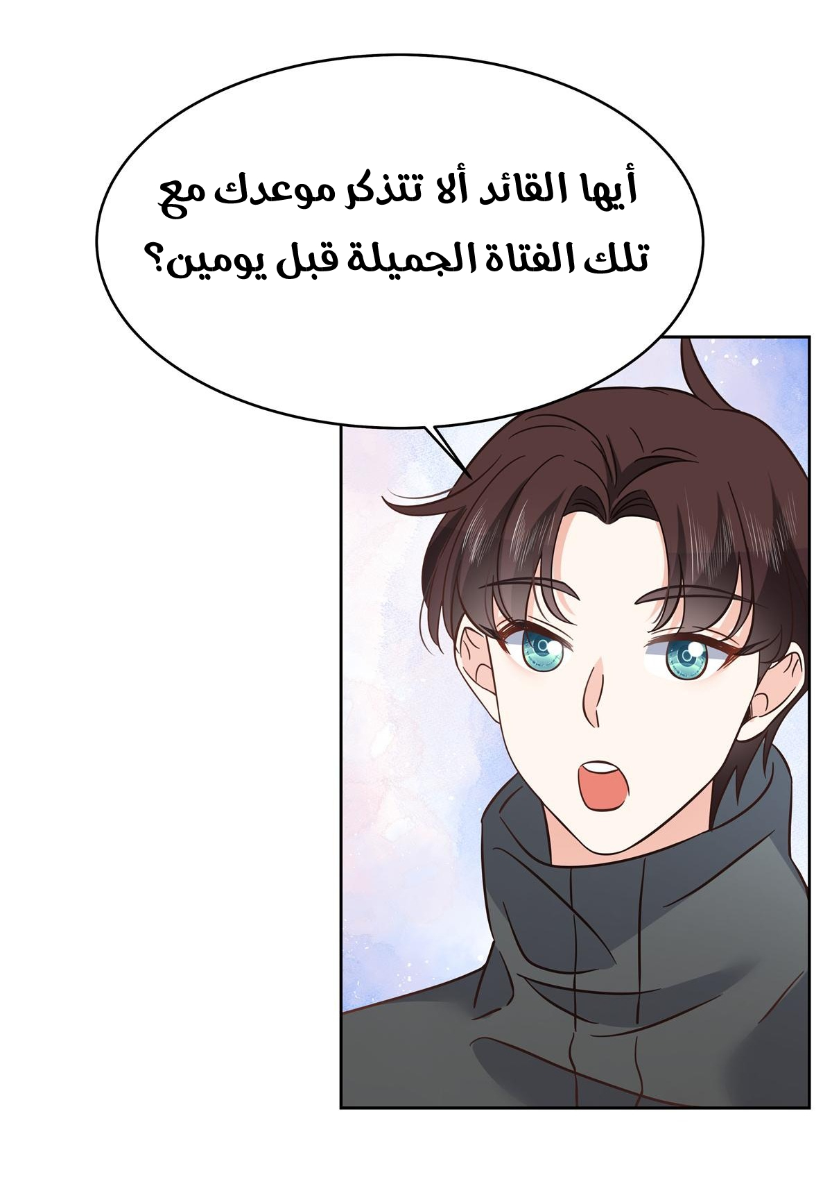 الصفحة 17