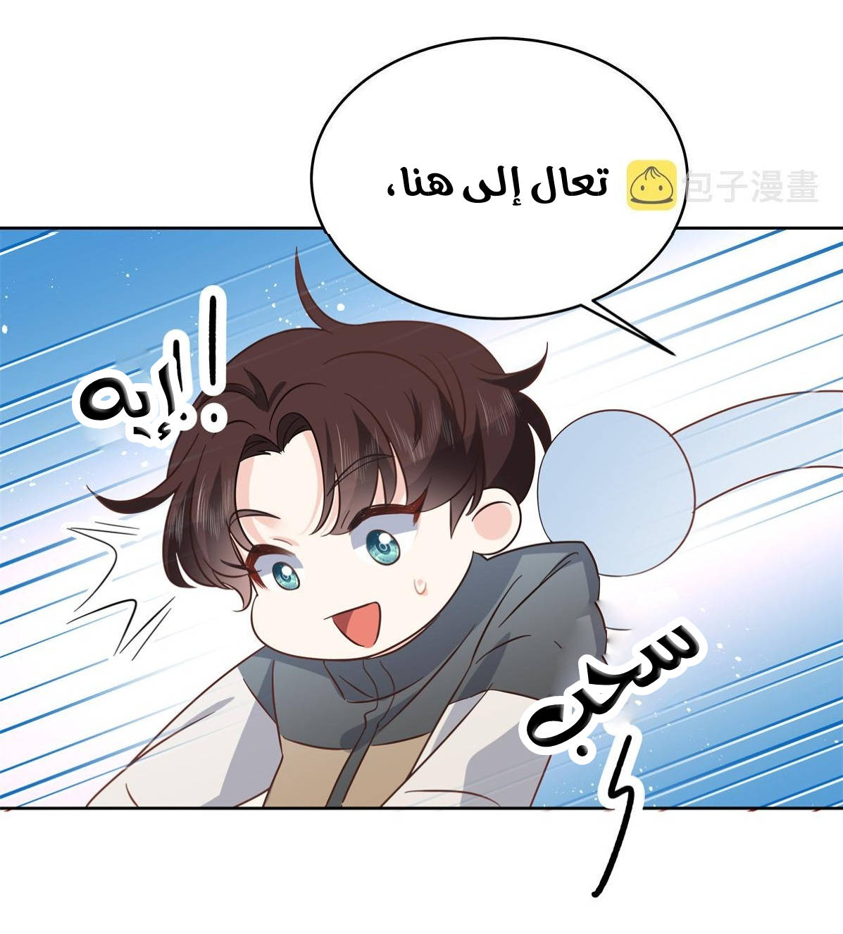 الصفحة 19