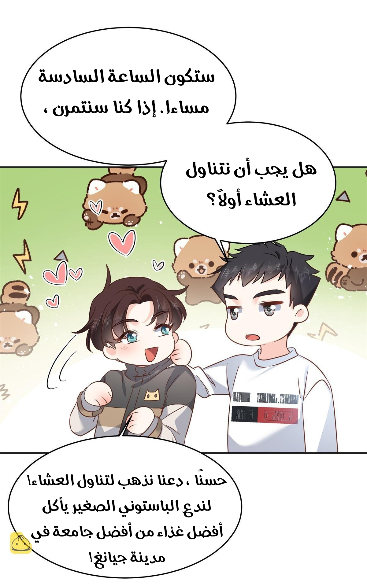 الصفحة 20