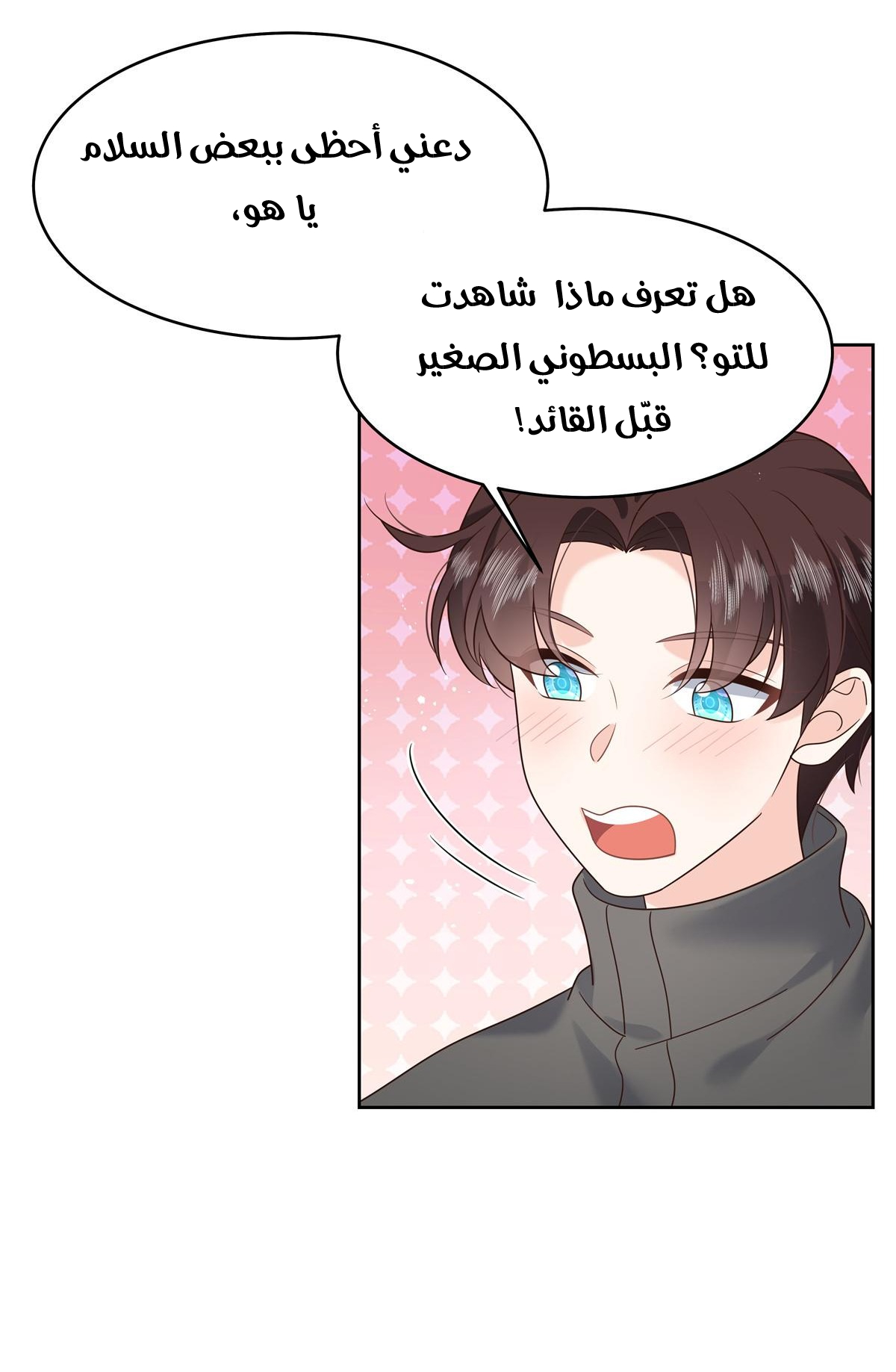 الصفحة 14