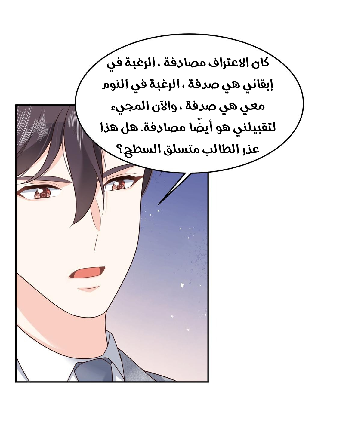الصفحة 19