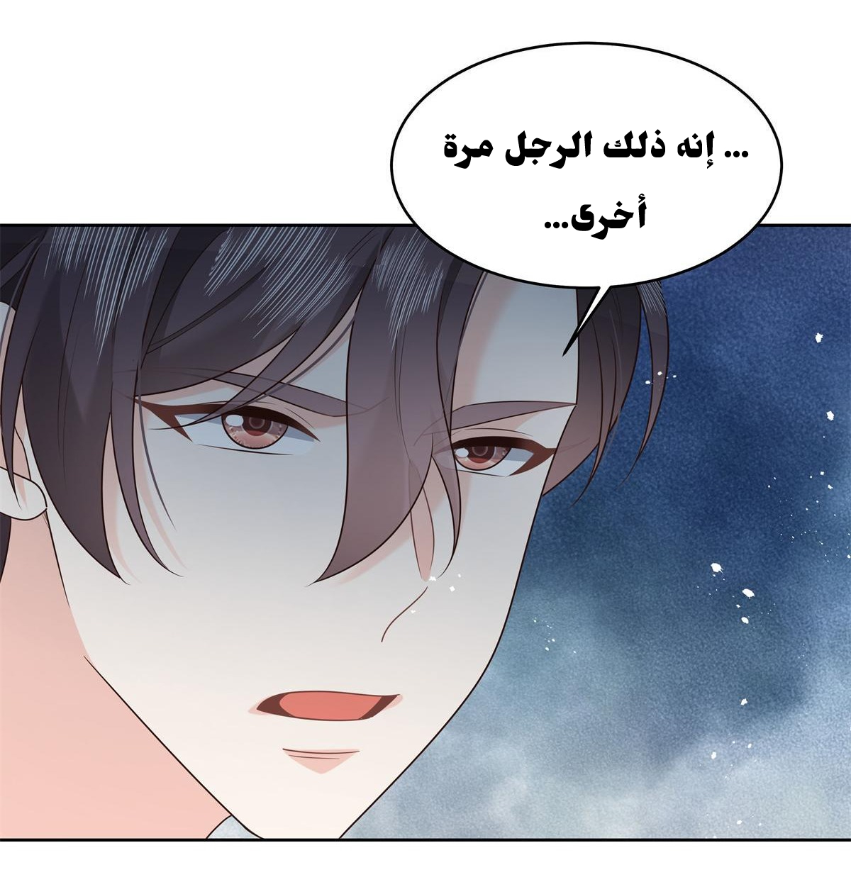 الصفحة 40