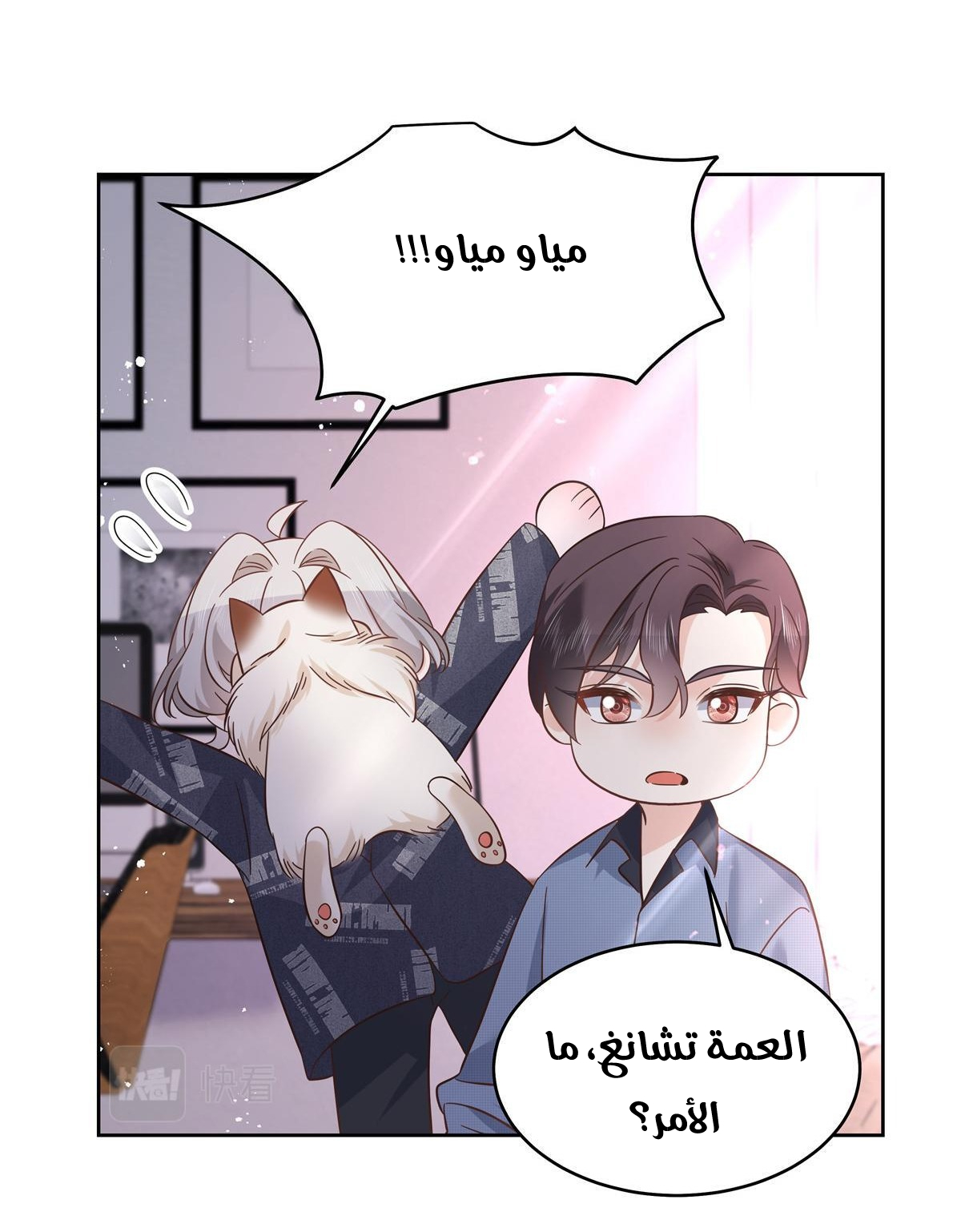 الصفحة 19