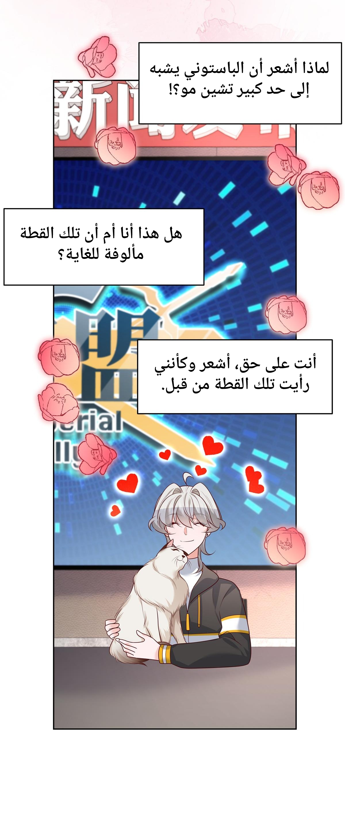 الصفحة 17