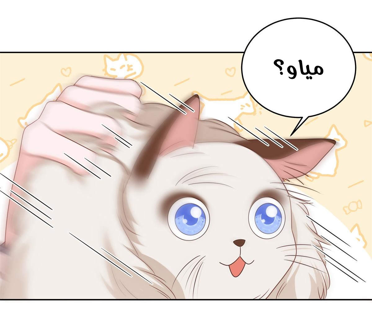 الصفحة 25