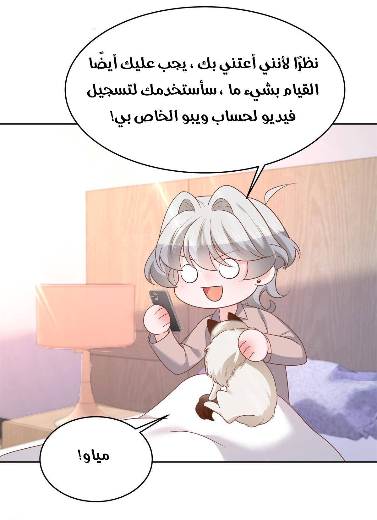 الصفحة 29