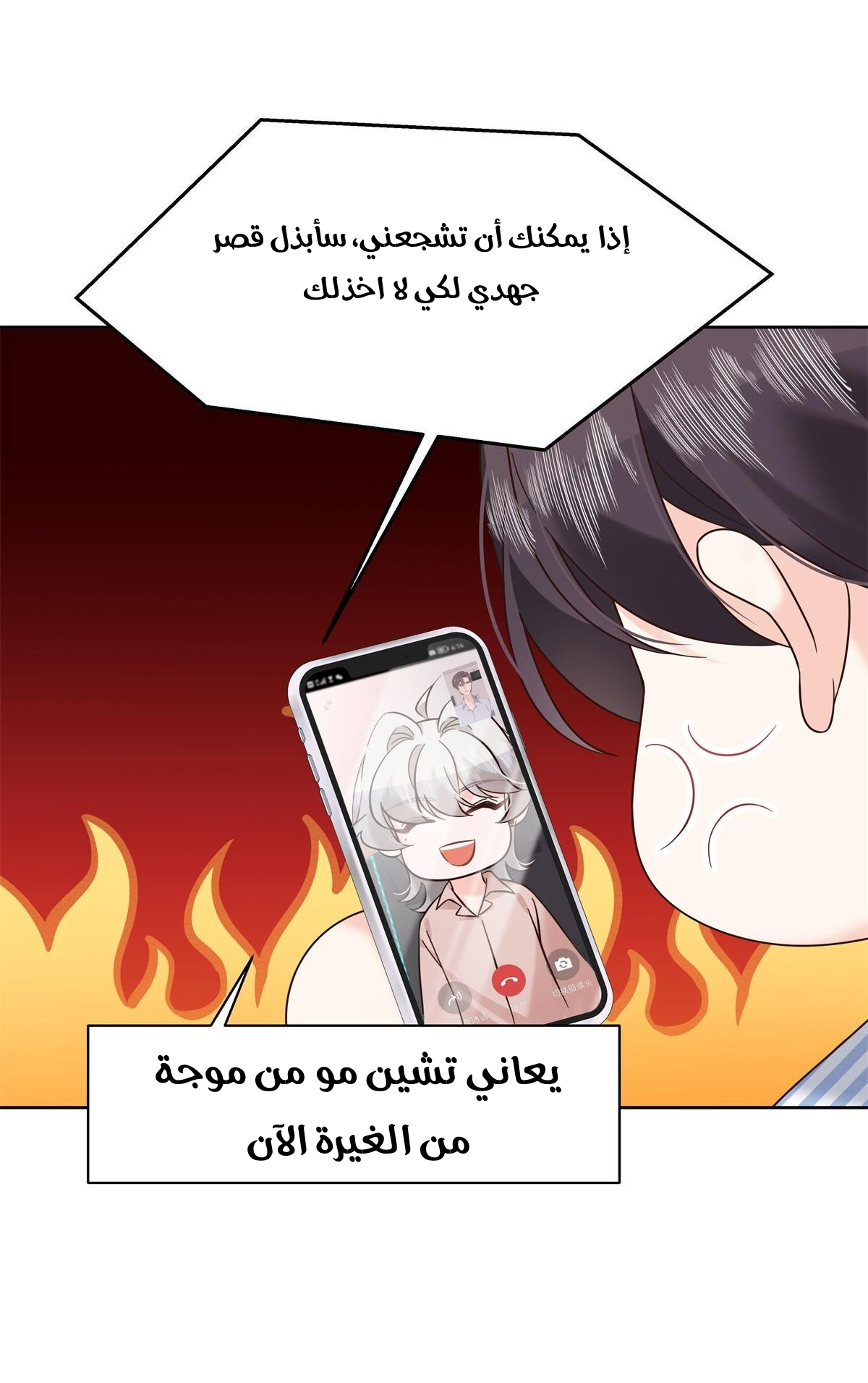 الصفحة 14