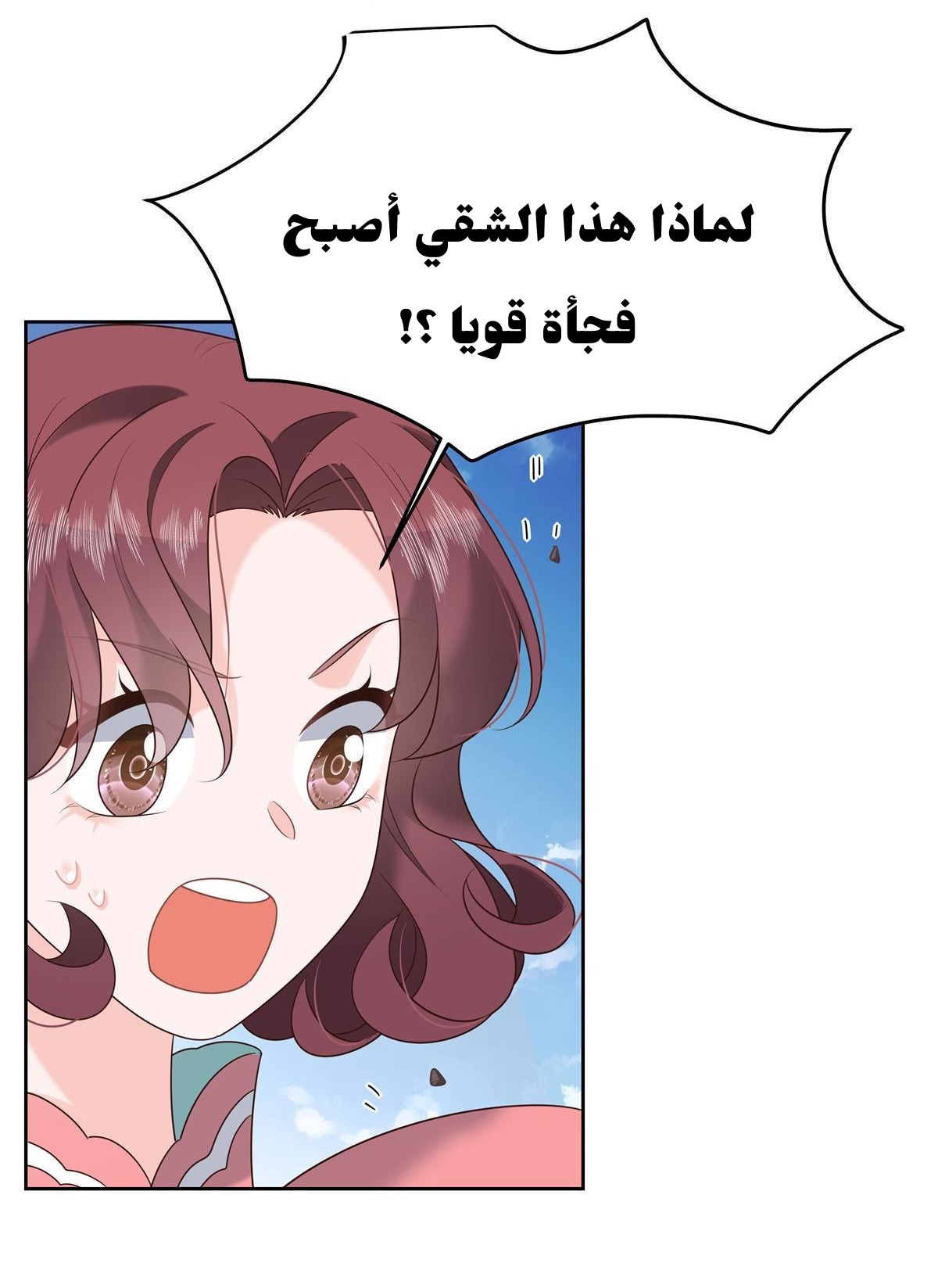الصفحة 32