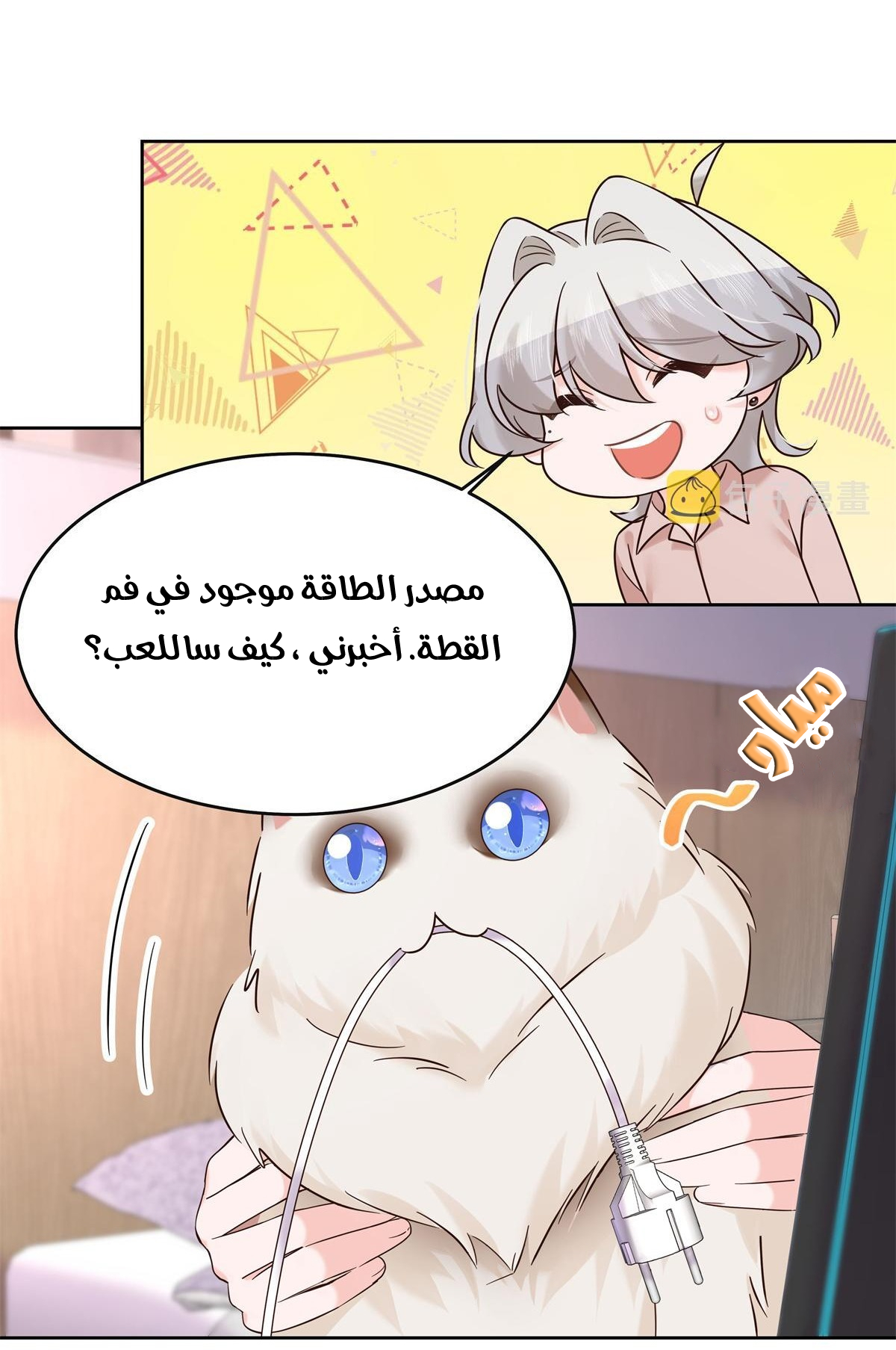 الصفحة 3
