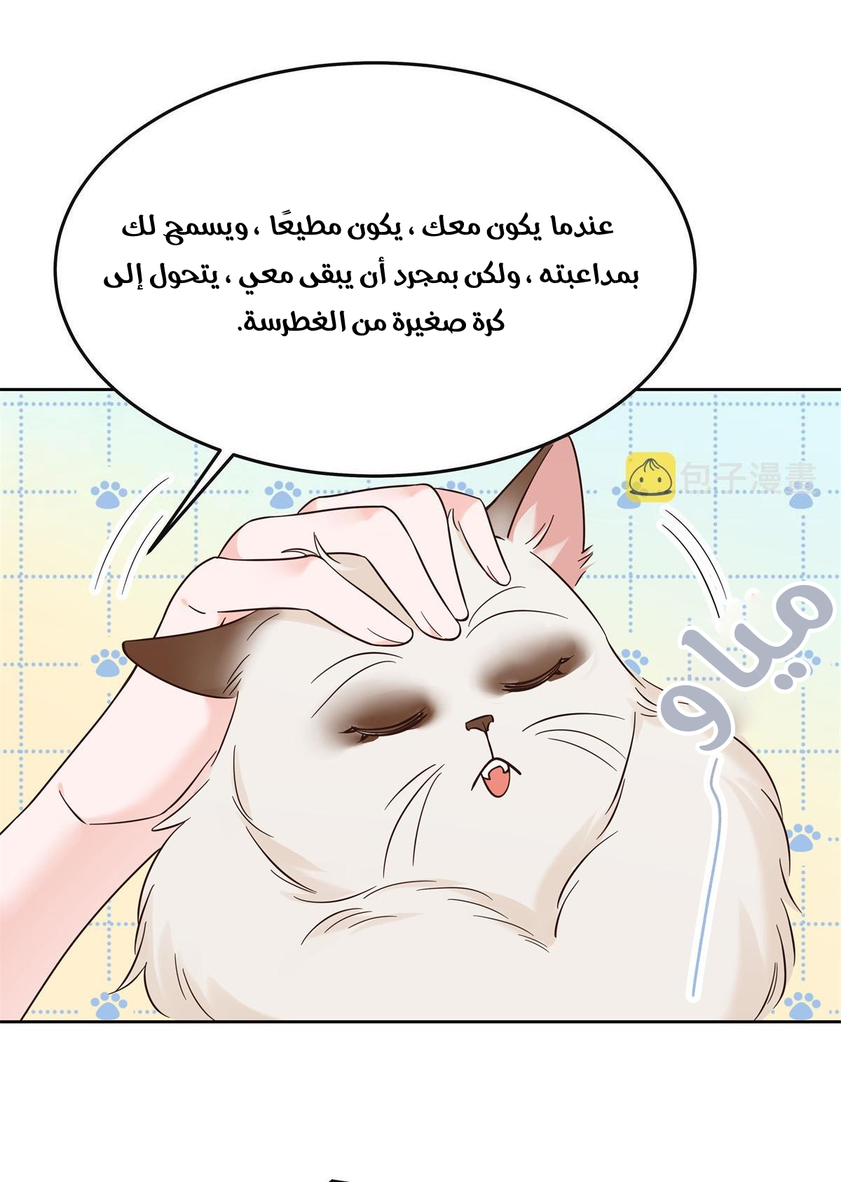 الصفحة 6