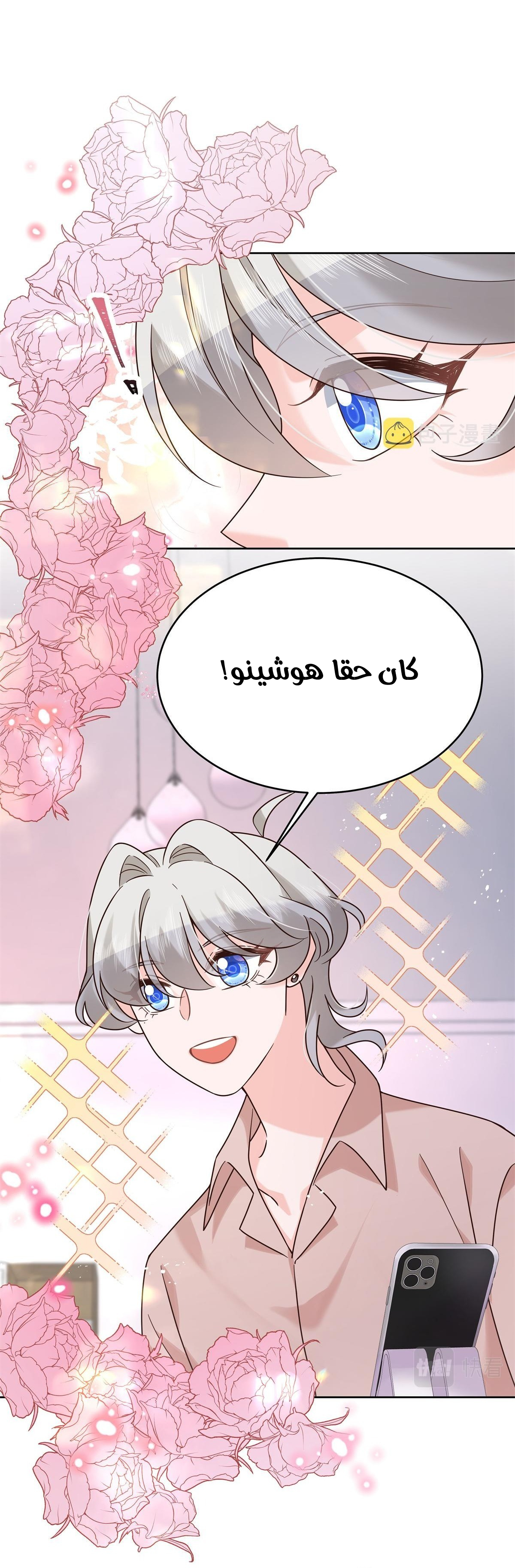 الصفحة 17