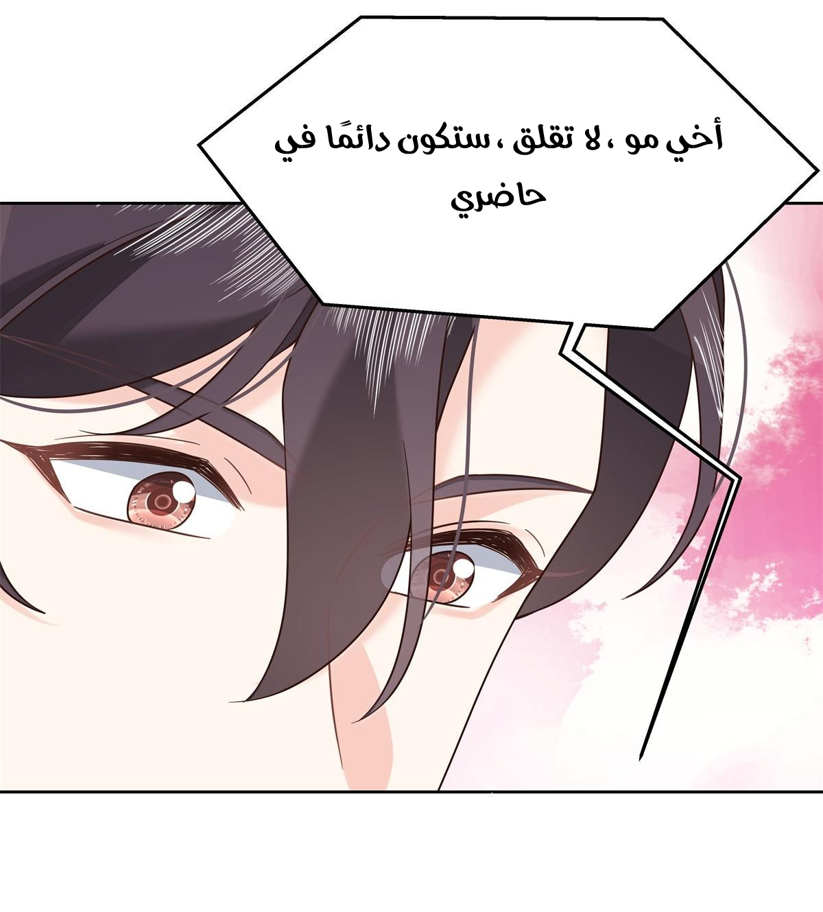 الصفحة 25