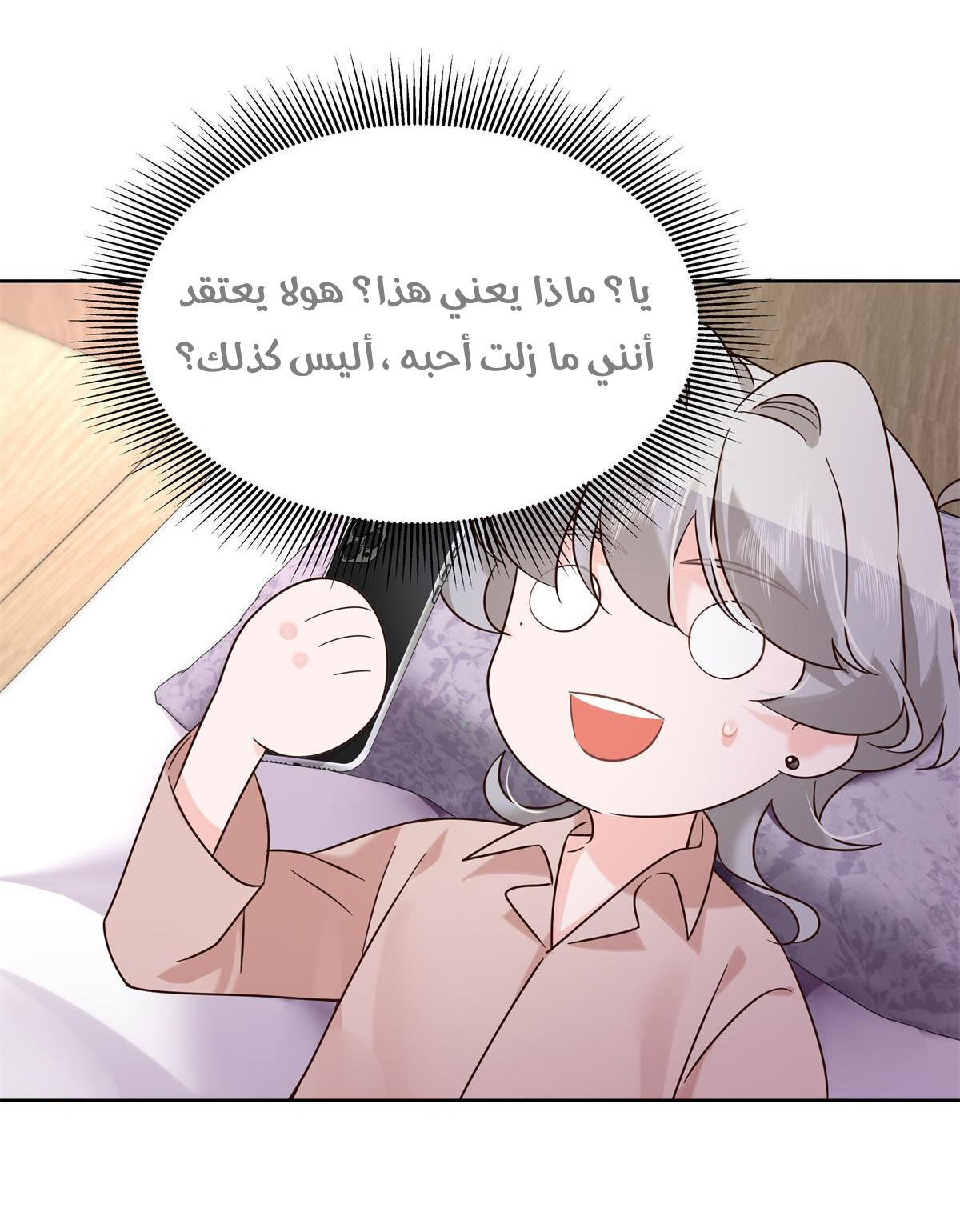 الصفحة 27