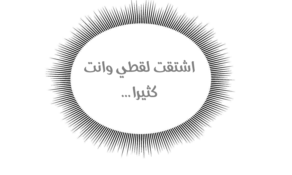 الصفحة 30
