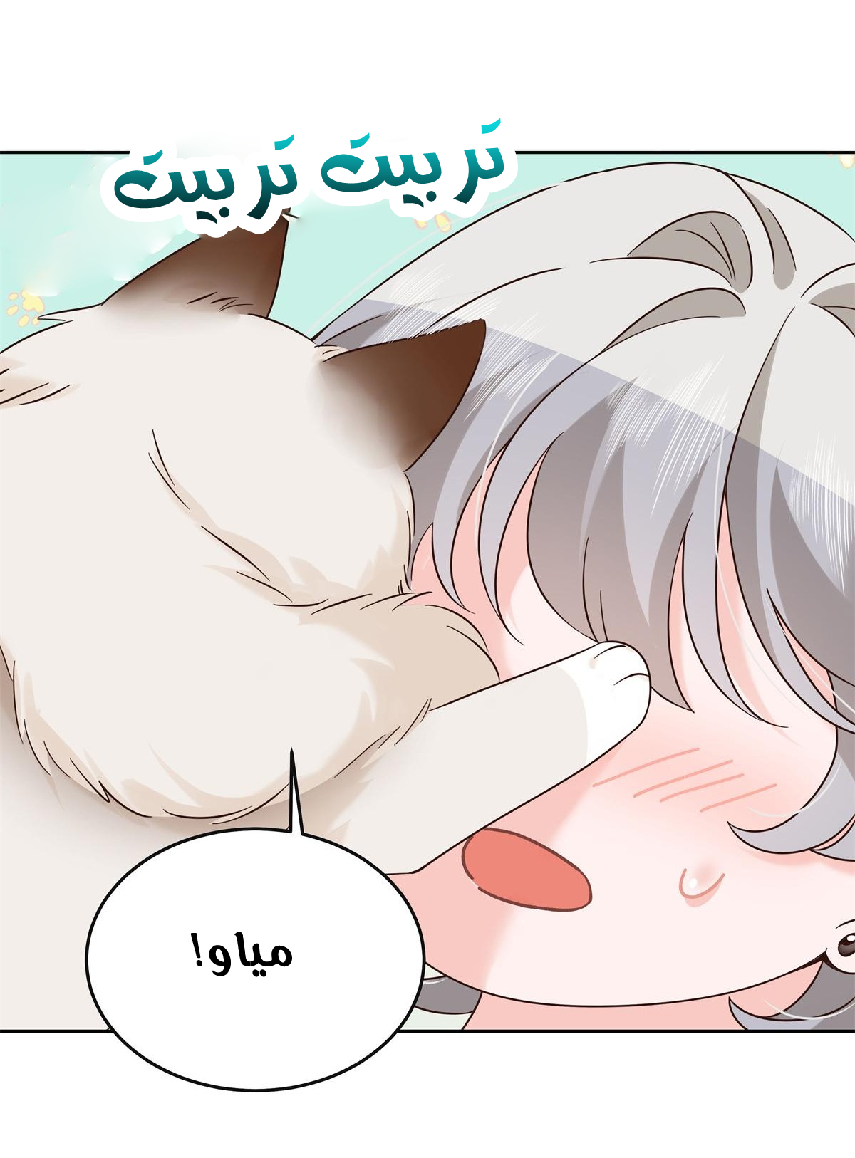 الصفحة 4