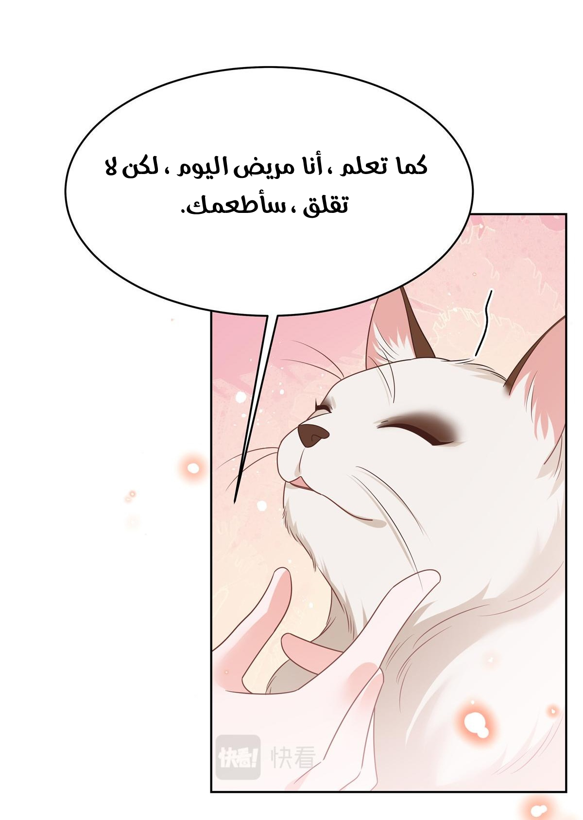 الصفحة 29