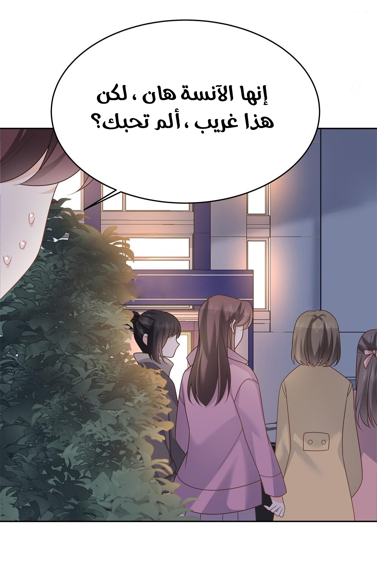 الصفحة 32