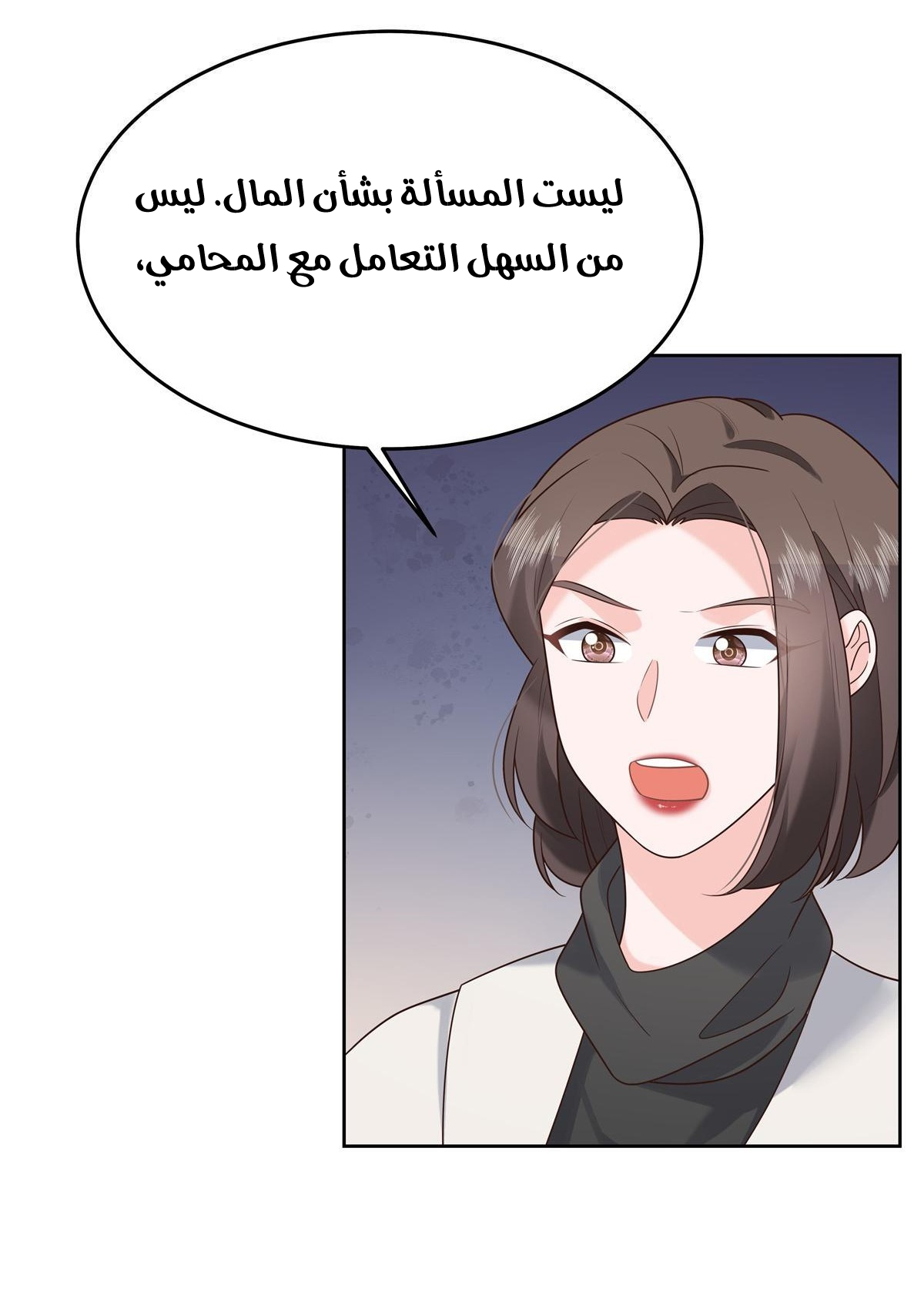 الصفحة 12