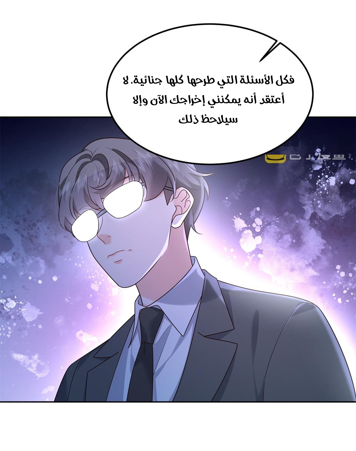 الصفحة 13