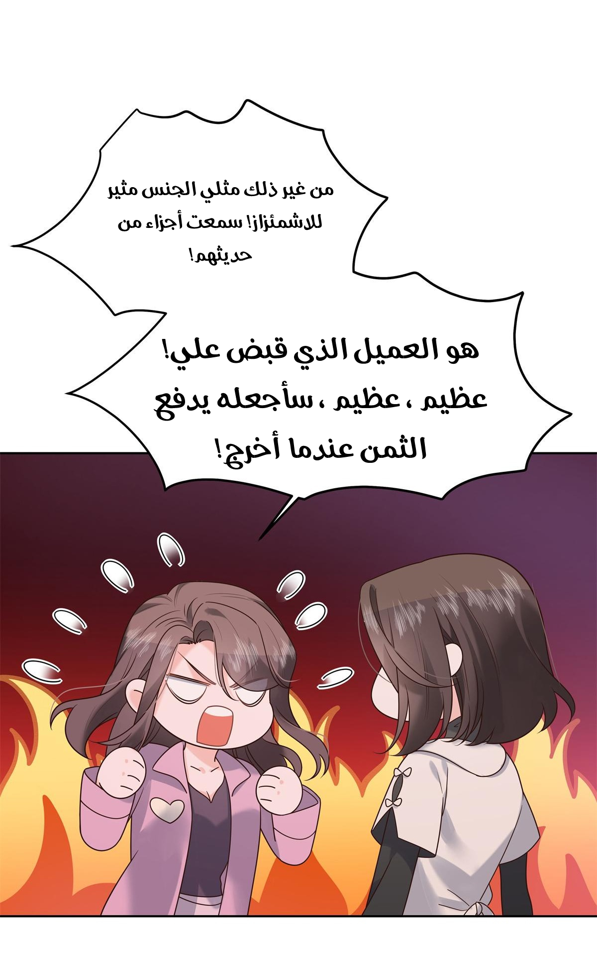 الصفحة 14