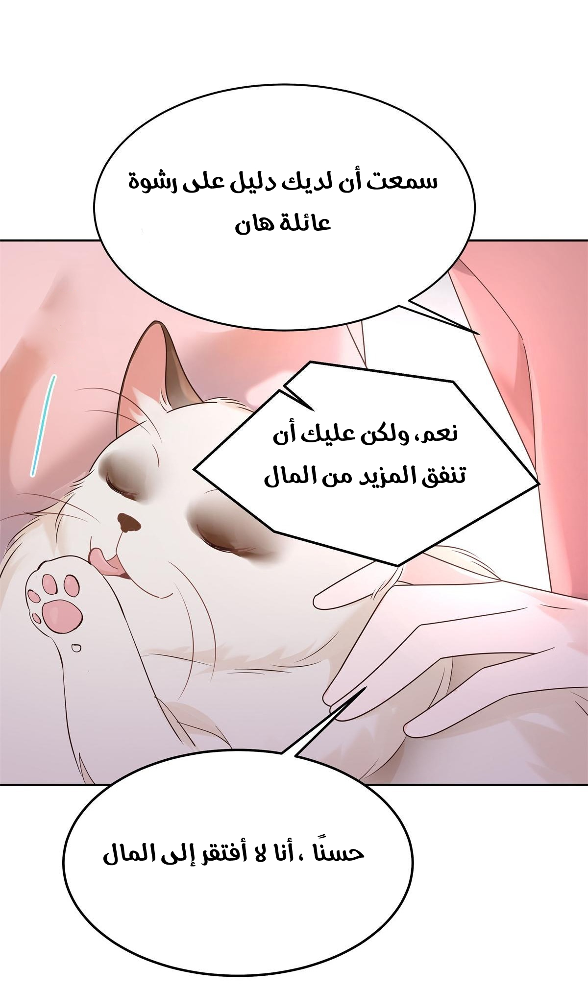 الصفحة 17