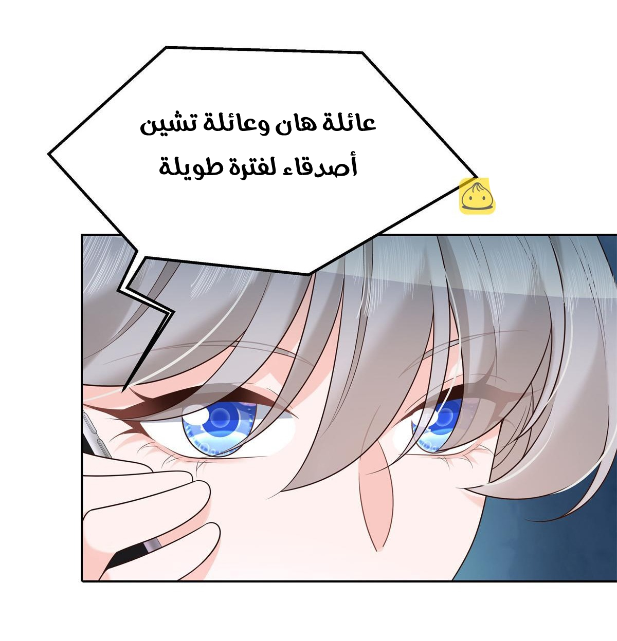 الصفحة 19