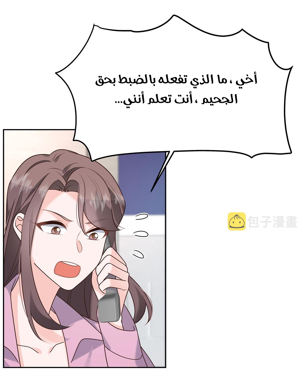 الصفحة 26