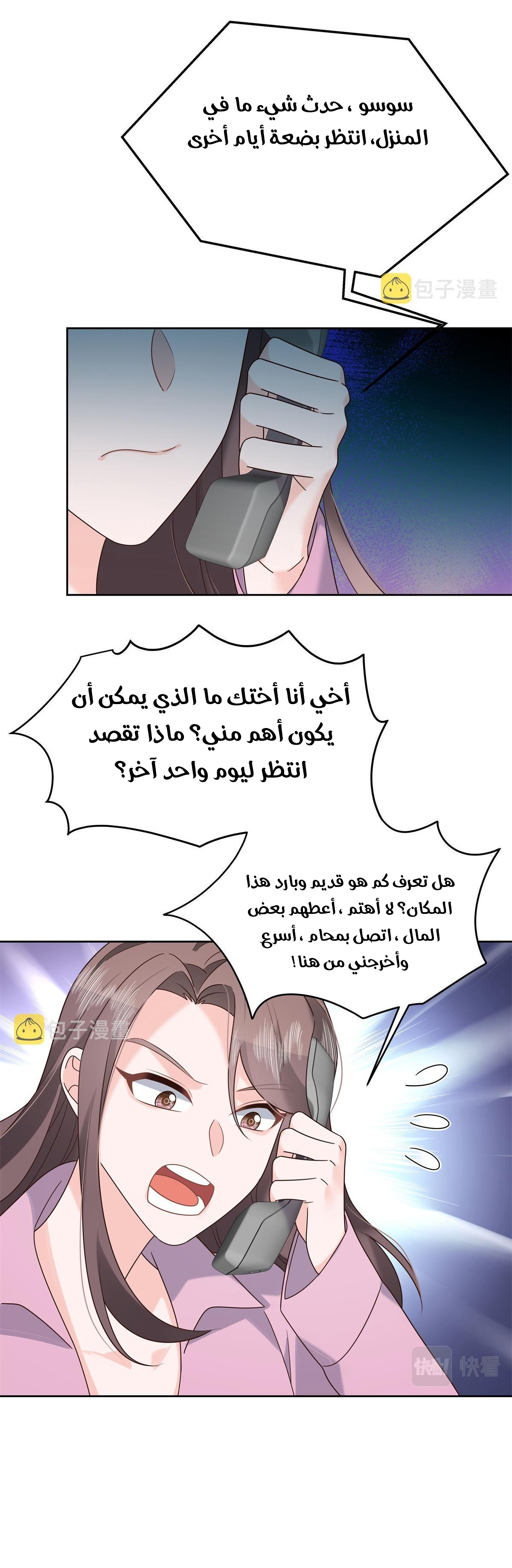 الصفحة 27