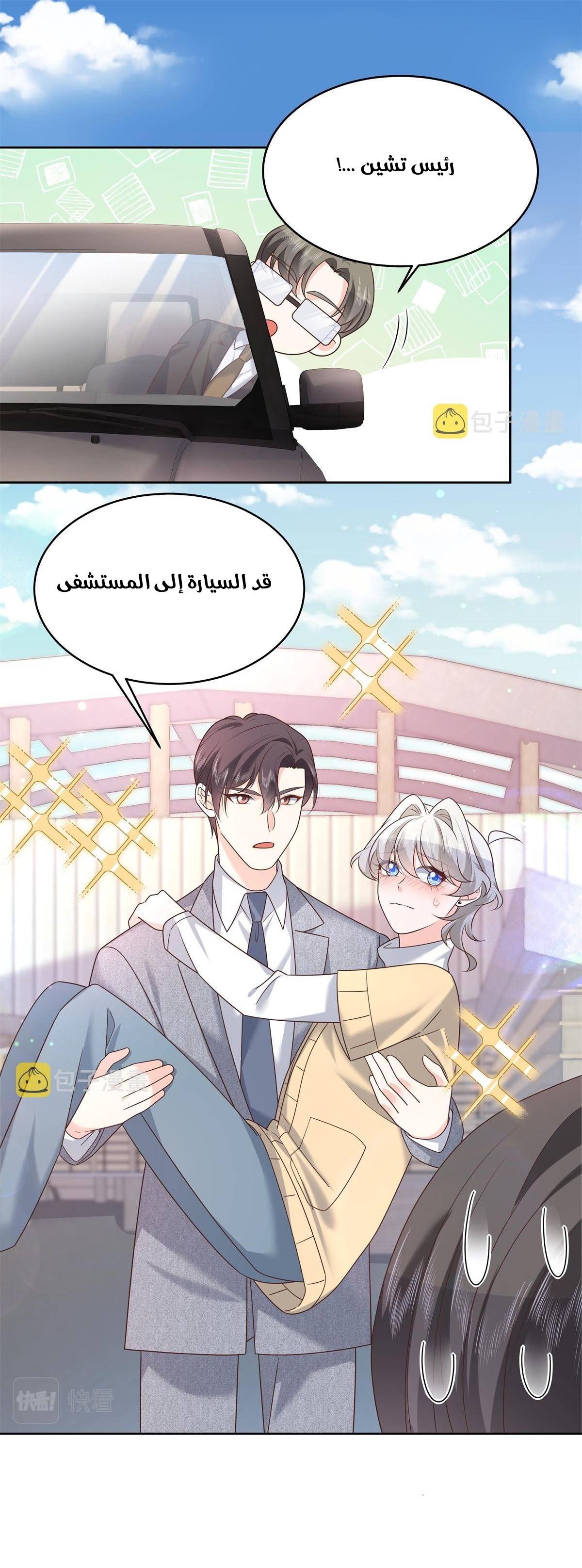 الصفحة 17