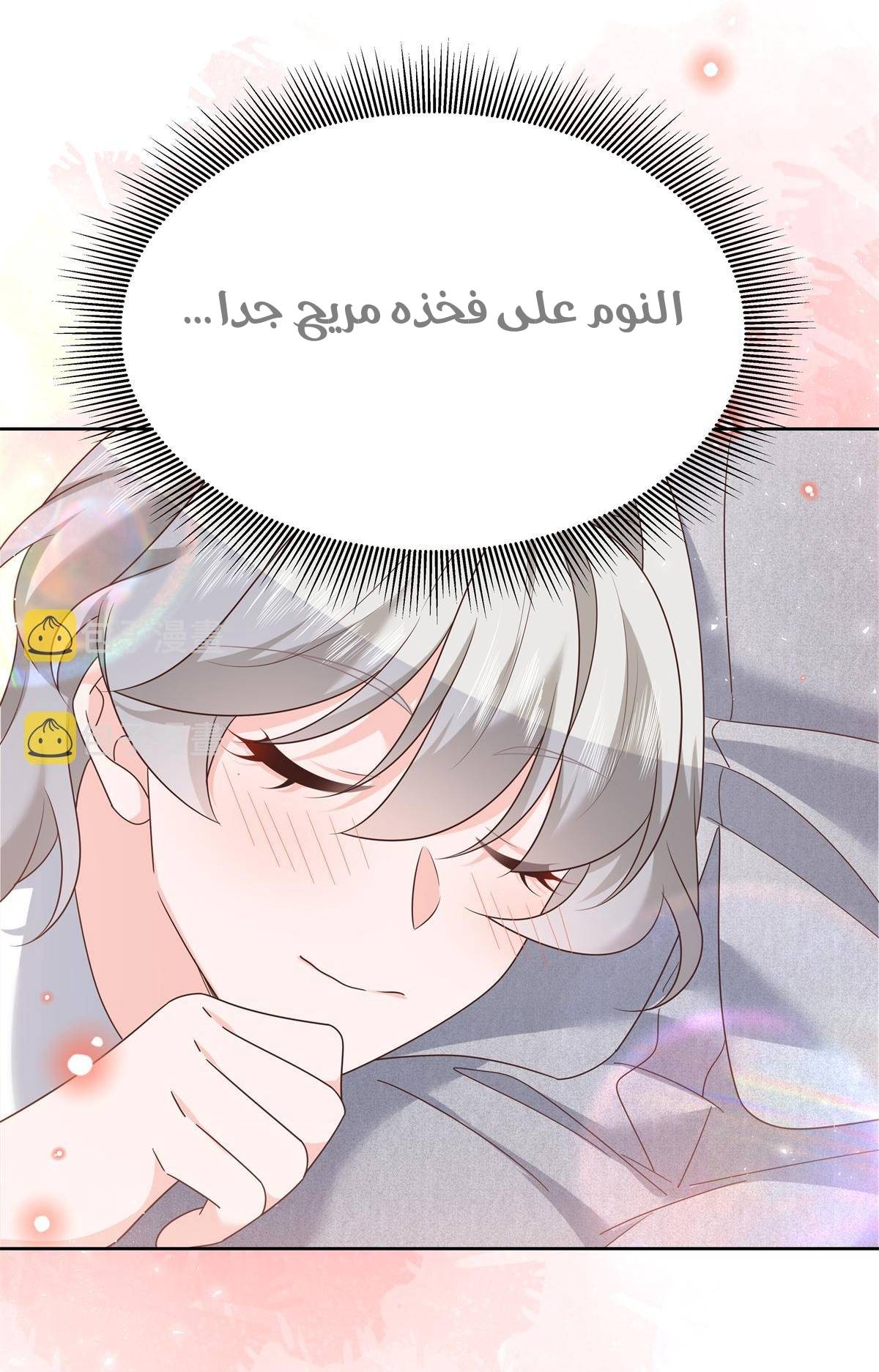 الصفحة 24