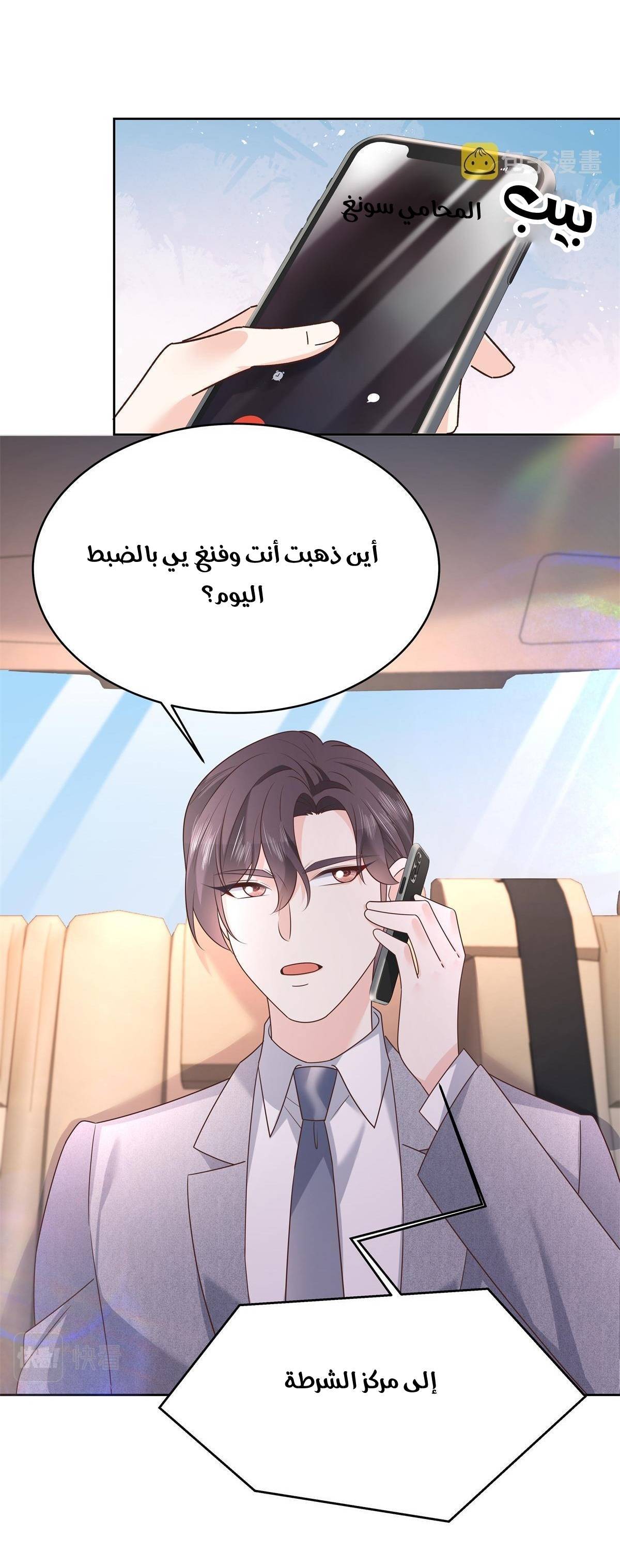 الصفحة 27