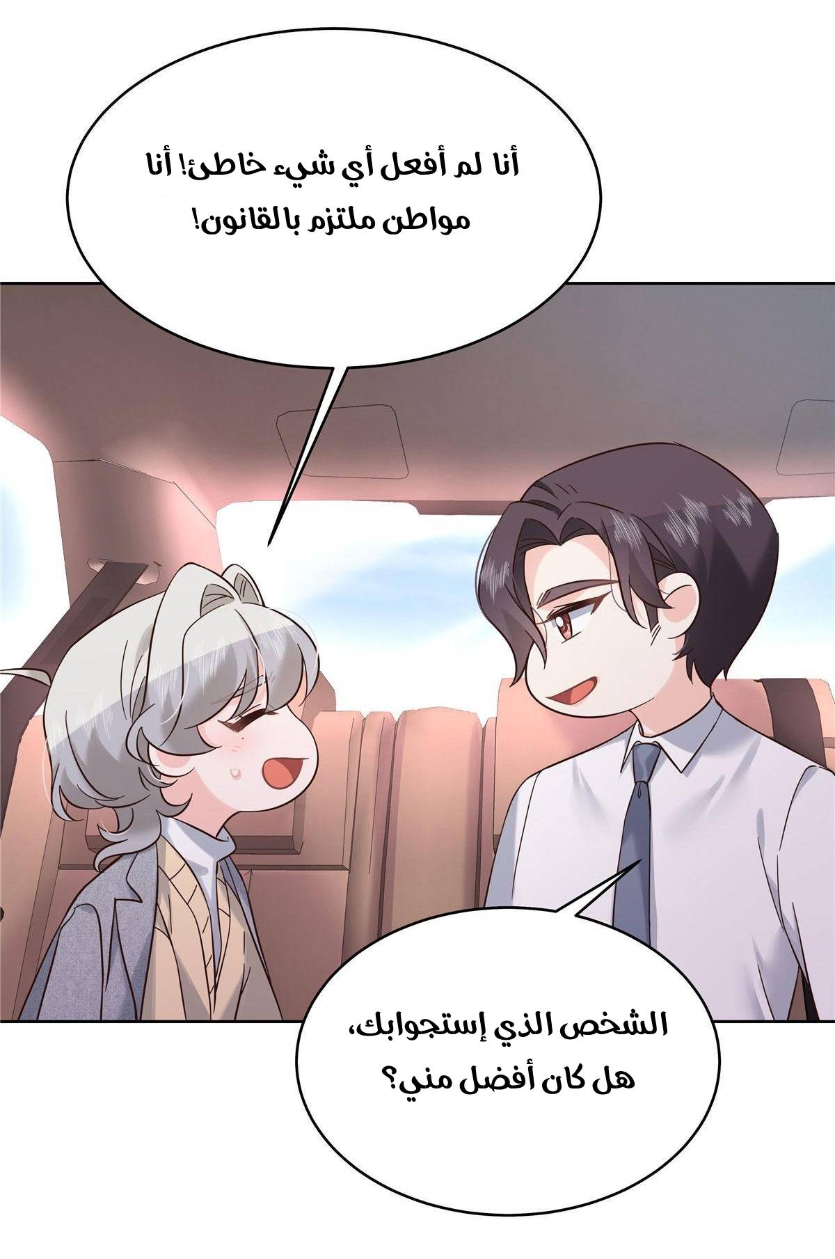 الصفحة 27