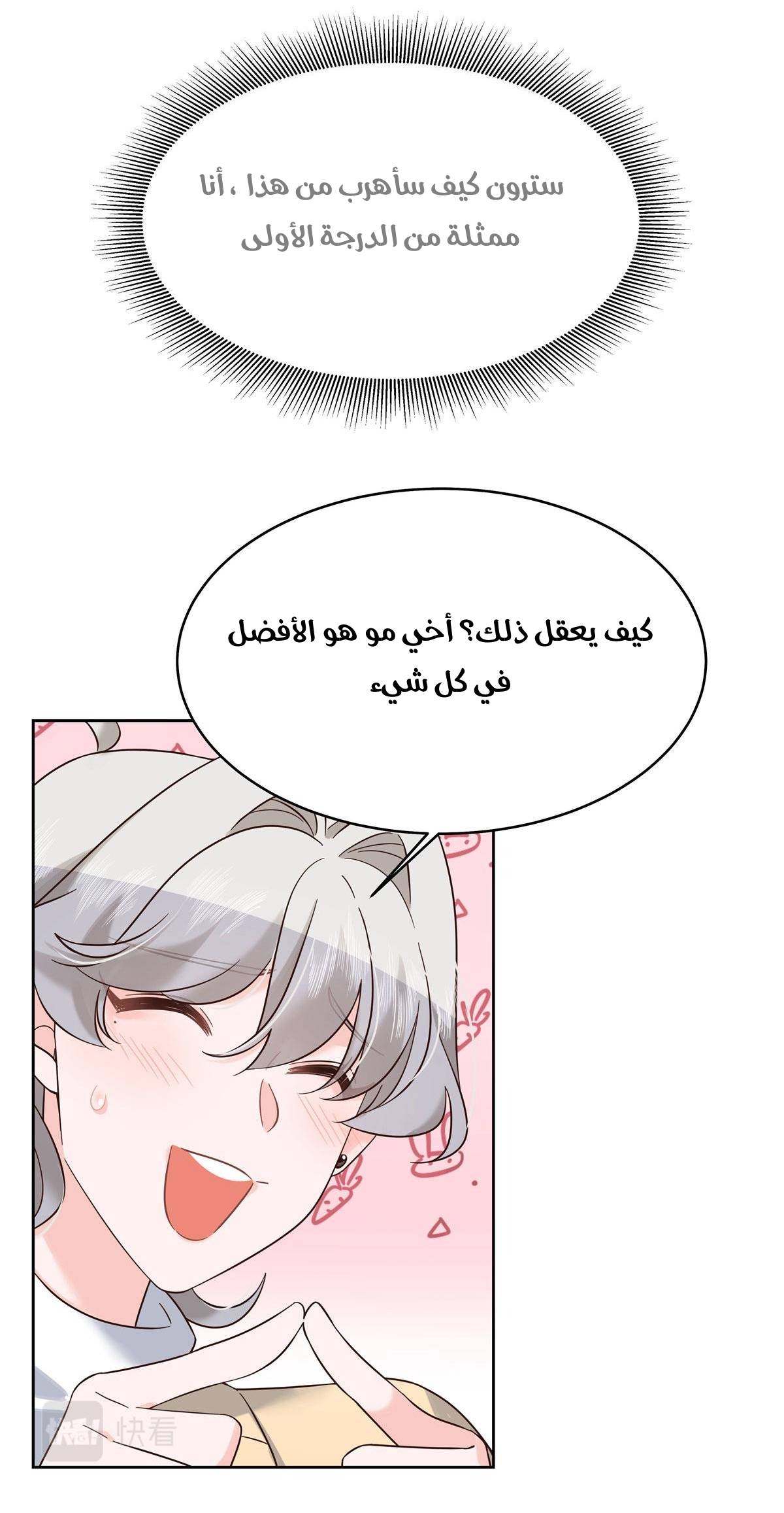 الصفحة 28