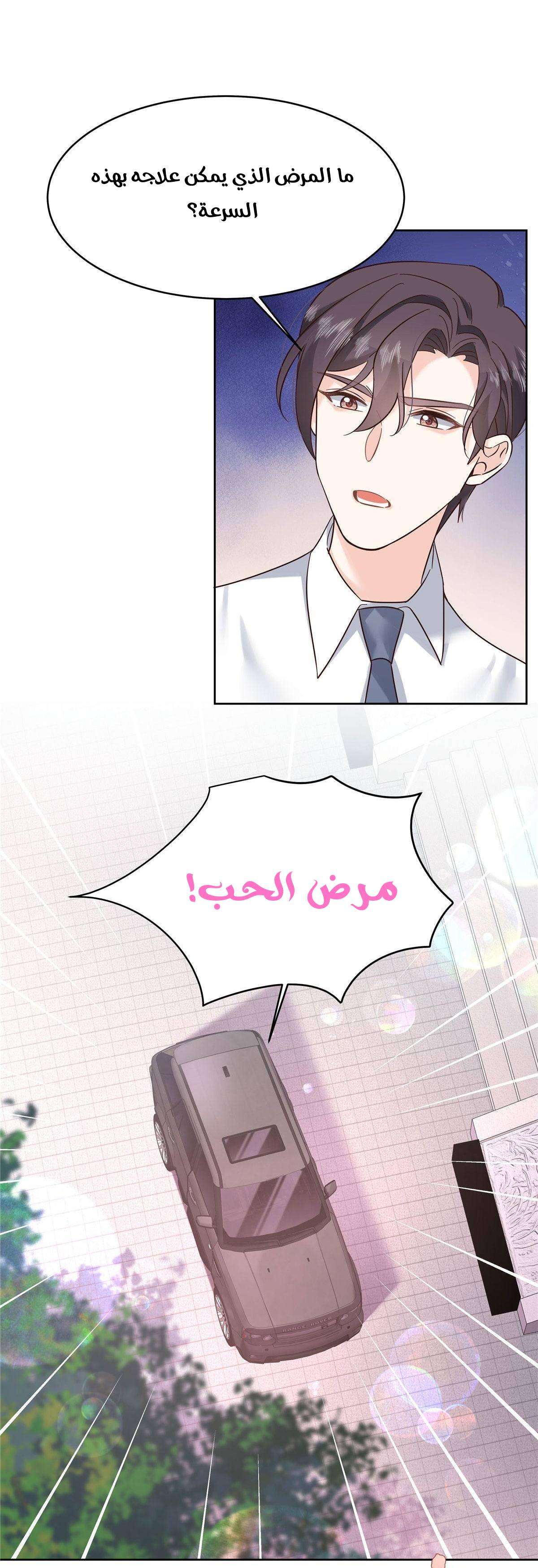 الصفحة 31