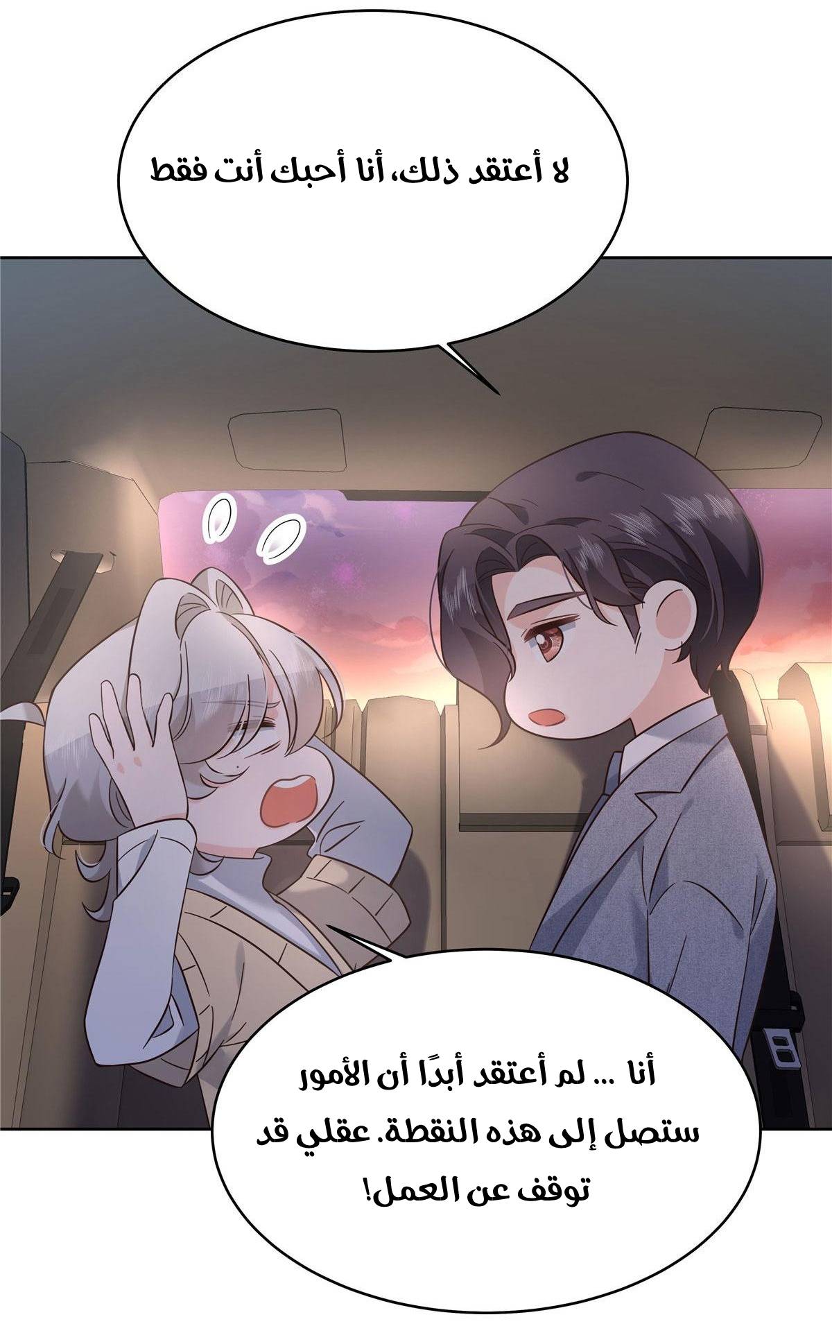الصفحة 20