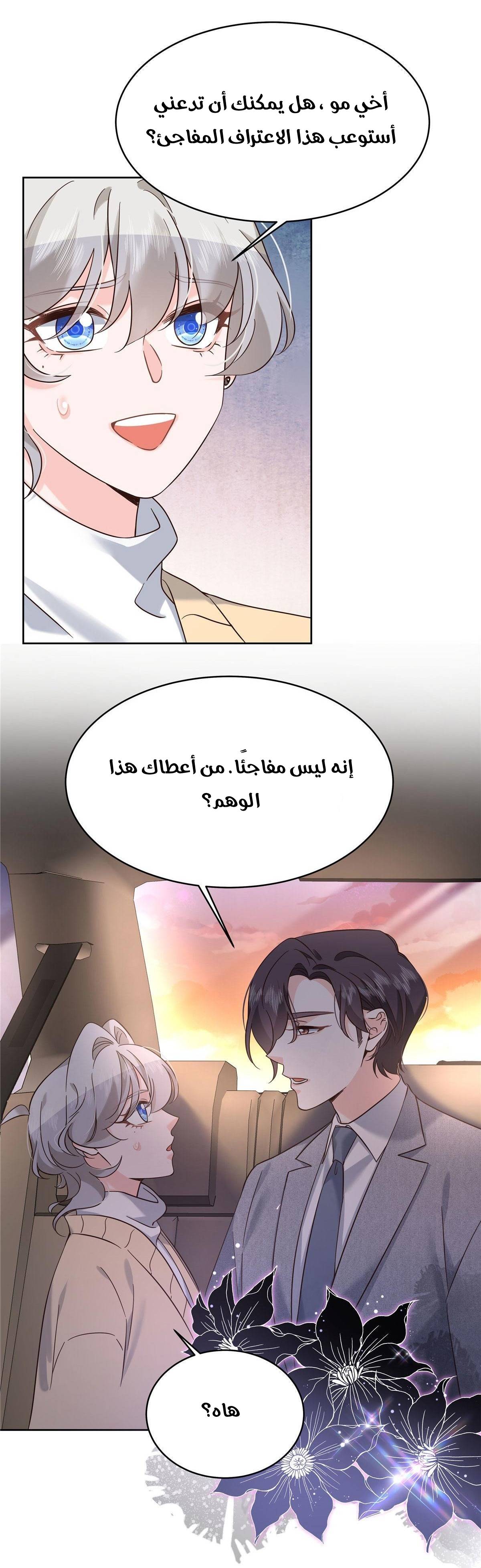 الصفحة 26