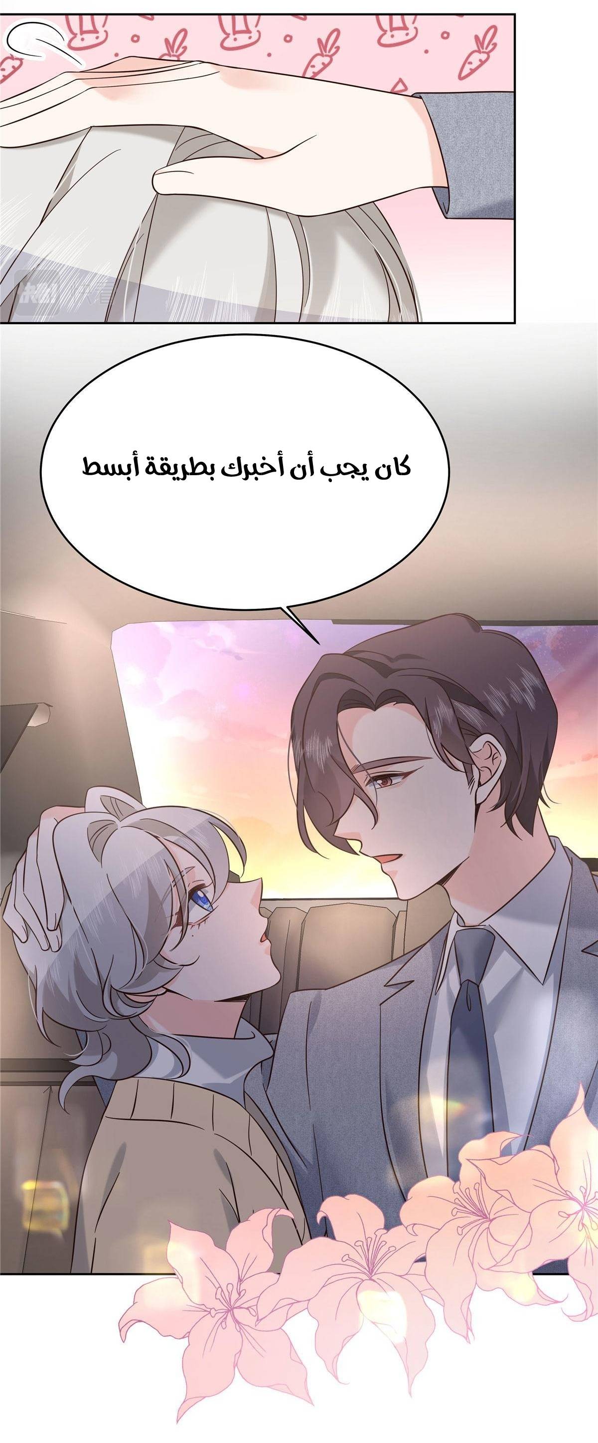 الصفحة 29